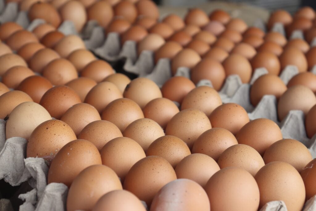 Rising egg prices